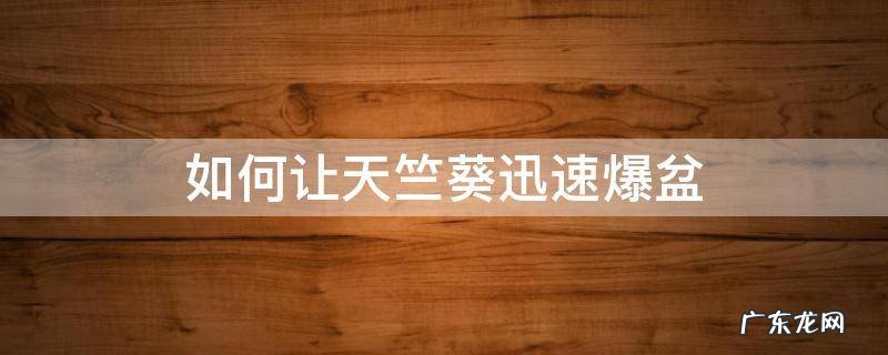 如何让天竺葵迅速爆盆 天竺葵上盆操作方法