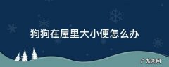 狗狗怎么在室内解决大小便问题 狗狗在屋里大小便怎么办