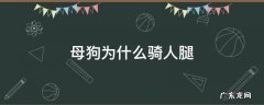 母狗为什么骑人腿 狗为什么会骑人腿