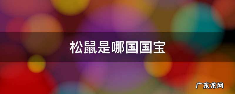 松鼠是哪一国的国宝 松鼠是哪国国宝