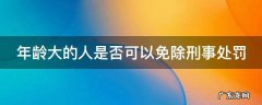 年龄大的人是否可以免除刑事处罚