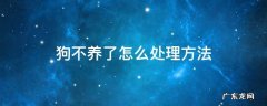 狗不养了怎么处理方法 宠物狗不养了如何处理