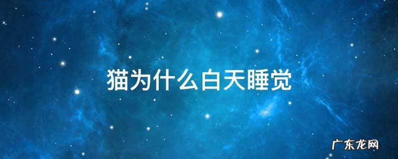 猫为什么白天睡觉 猫为什么白天睡觉晚上抓老鼠