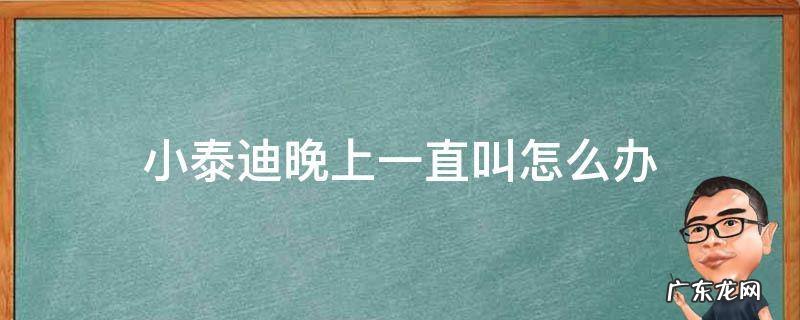 小泰迪晚上一直叫怎么办 小泰迪每天晚上都要叫