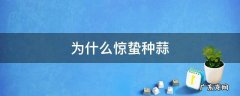 为什么秋天种蒜 为什么惊蛰种蒜