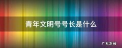 青年文明号号长个人简介 青年文明号号长是什么