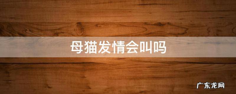 猫发几次情就不发了 母猫发情会叫吗