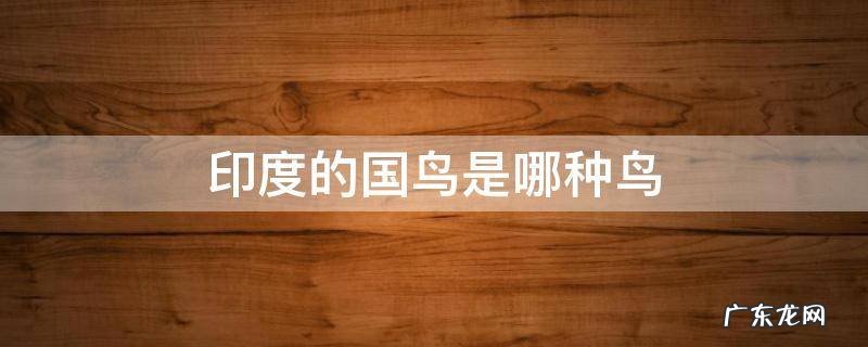 印度的国鸟是哪种鸟 印度的国鸟是哪个