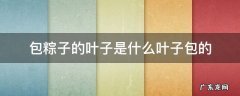 包粽子的叶子是什么叶子啊 包粽子的叶子是什么叶子包的
