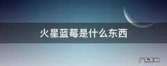 蓝莓的东西 火星蓝莓是什么东西