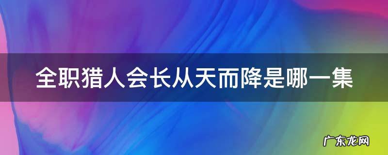 全职猎人会长从天而降是哪一集