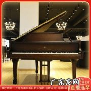 在成都市买钢琴该怎么选择一台好的钢琴了