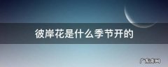 彼岸花是什么时候开的花 彼岸花是什么季节开的