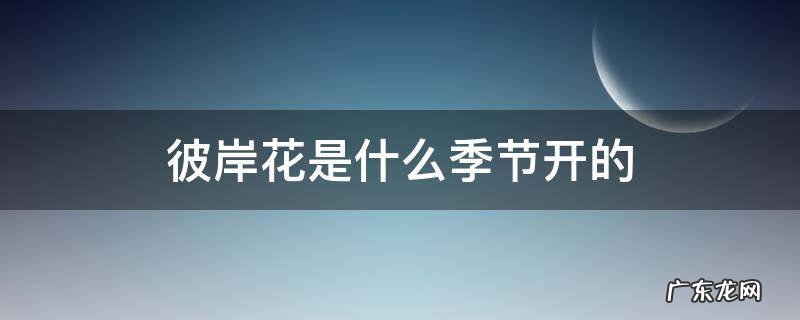 彼岸花是什么时候开的花 彼岸花是什么季节开的