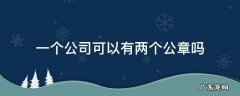 一个公司可以有两个公章吗 公司能有两个公章吗?