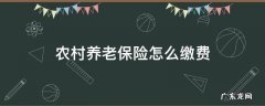 福建农村养老保险怎么缴费 农村养老保险怎么缴费