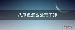 八爪鱼怎么处理干净 八爪鱼怎么处理干净内脏