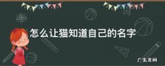 怎么让猫知道自己的名字 猫怎么让他知道自己名字