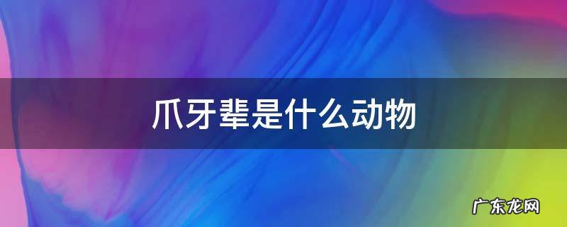 爪牙辈是什么动物 什么叫爪牙