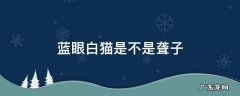 蓝眼白猫多大概率是聋子 蓝眼白猫是不是聋子
