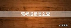 驾考成绩怎么查询系统 驾考成绩怎么查
