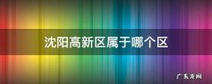沈阳高新区属于哪个区 沈阳高新开发区属于哪个区
