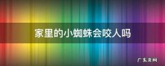 家里的小蜘蛛会咬人吗 家里的大蜘蛛会咬人吗?