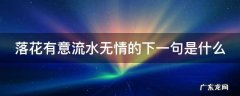 落花有意流水无情的下一句是什么 落花有意流水无情下一句是什么诗句