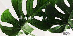 牛肉的15种做法