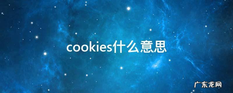 cookies什么意思 cookie什么意思