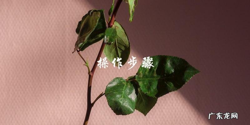 家常绿豆芽炒油豆腐,做法简单易学!