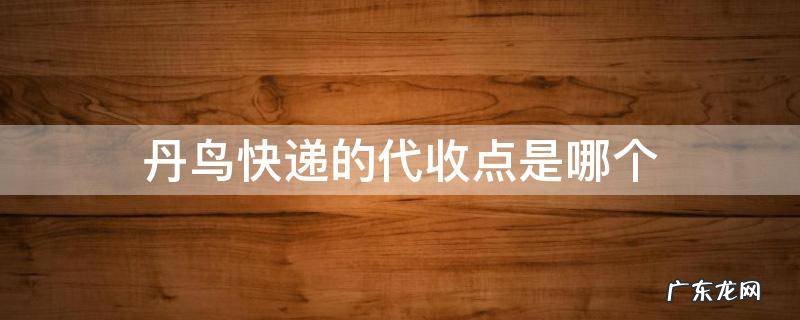 丹鸟快递代理点 丹鸟快递的代收点是哪个