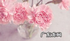 母亲节发朋友圈的可爱文案 母亲节适合发朋友圈的文案