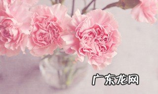 母亲节发朋友圈的可爱文案 母亲节适合发朋友圈的文案