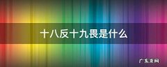 十八反十九畏是什么药 十八反十九畏是什么