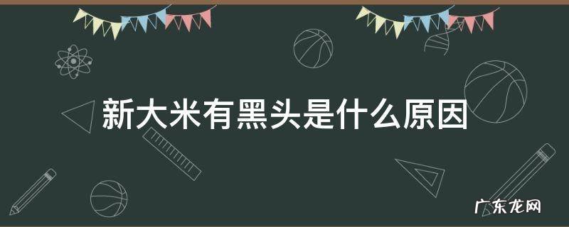 大米有黑头是怎么回事 新大米有黑头是什么原因