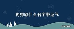 狗狗取什么名字可以带来好运 狗狗取什么名字带运气