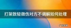 打架致轻微伤对方不调解如何处理