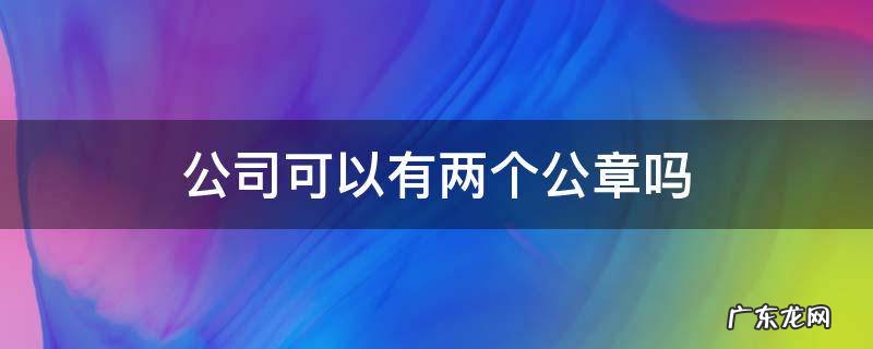 一家公司可以有两个公章吗 公司可以有两个公章吗
