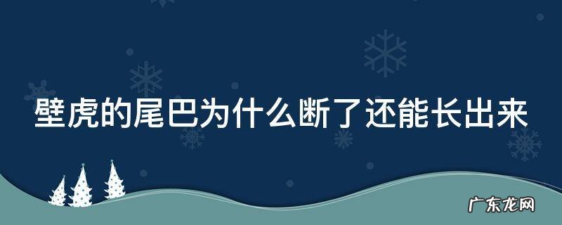壁虎的尾巴为什么断了还能长出来 壁虎的尾巴为什么断了还能长出来幼儿