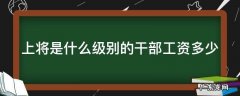 上将是什么级别的干部工资g 上将是什么级别的干部工资多少