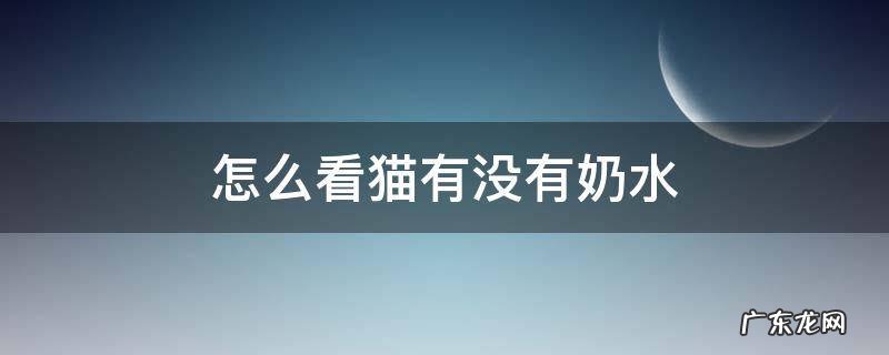 怎么看猫有没有奶水 怎样看猫咪有没有奶水