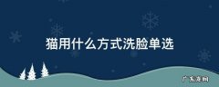 猫咪用什么洗脸 猫用什么方式洗脸单选
