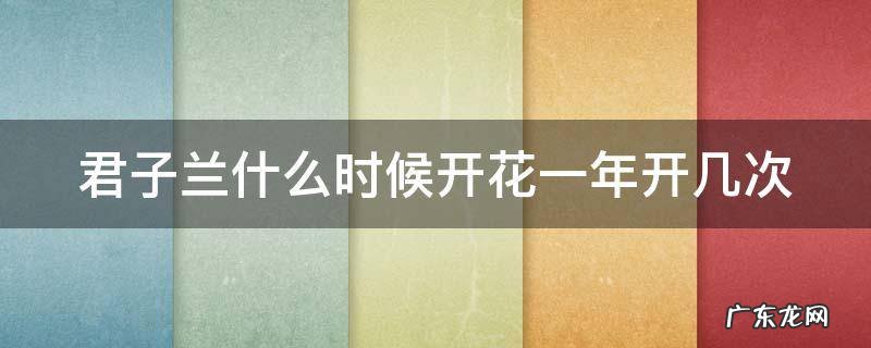 君子兰什么时间开一次花 君子兰什么时候开花一年开几次