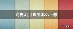 狗狗流泪眼屎怎么回事 狗狗突然流眼泪眼屎是怎么回事