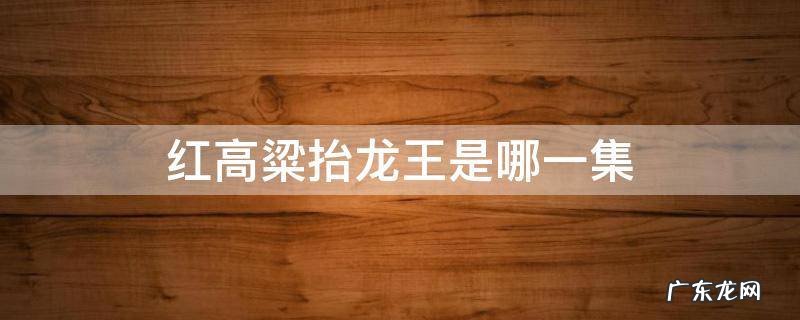 红高粱电视剧抬龙王片段 红高粱抬龙王是哪一集