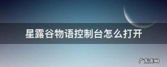 星露谷物语如何打开控制台 星露谷物语控制台怎么打开
