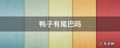 鸭子有尾巴吗 鸭子的尾巴是干什么的