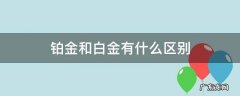 铂金和白金有什么区别啊a 铂金和白金有什么区别