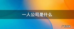 一人公司是什么公司 一人公司是什么
